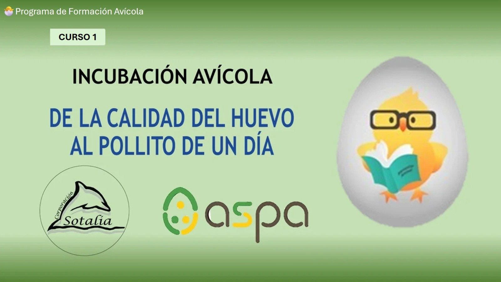 Curso Avicola